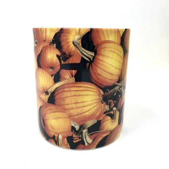 Starbucks 2007 Autumn Fall Harvest Pumpkin Patch Theme Coffee Mug 16oz. - Picture 1 of 10